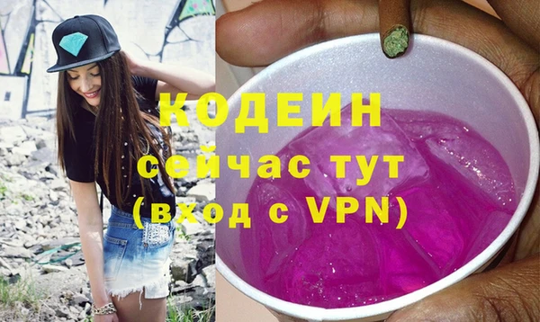 бошки Инта