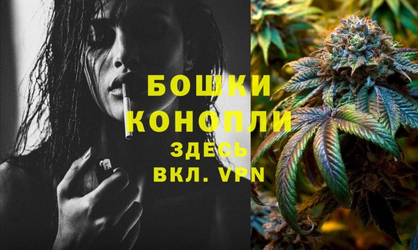 бошки Инта