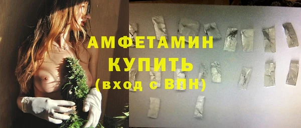 прущие грибы Иннополис