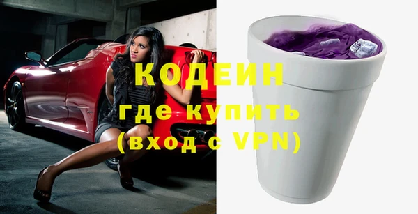 бошки Инта