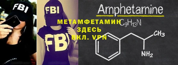 прущие грибы Иннополис