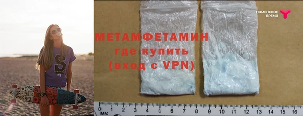 прущие грибы Иннополис