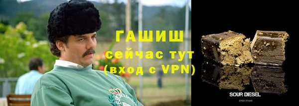 бошки Инта