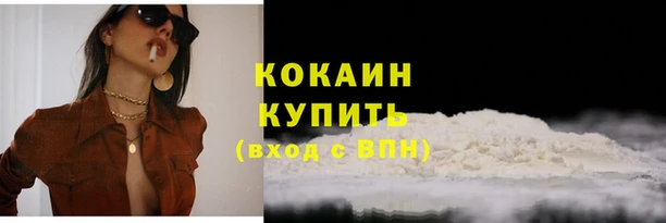 прущие грибы Иннополис