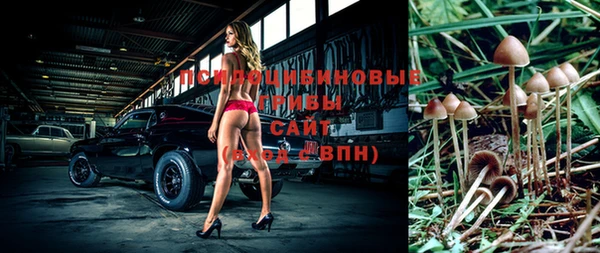 героин Инсар