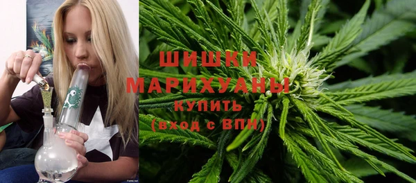 прущие грибы Иннополис