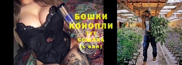 бошки Инта