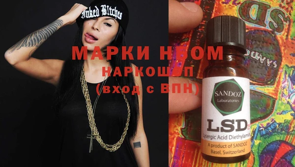 бошки Инта