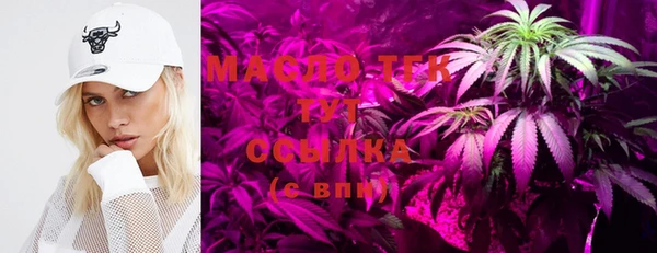 бошки Инта