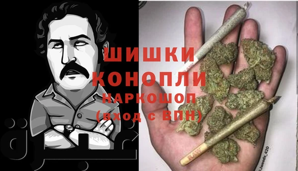 бошки Инта