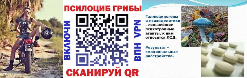 Галлюциногенные грибы Psilocybine cubensis  Купить  Нягань 