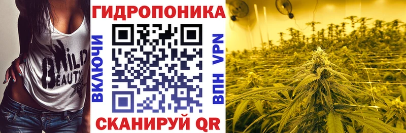 Канабис сатива  Купить закладки  Нягань 